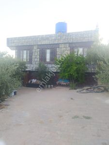 Arsa-Bağ & Bahçe