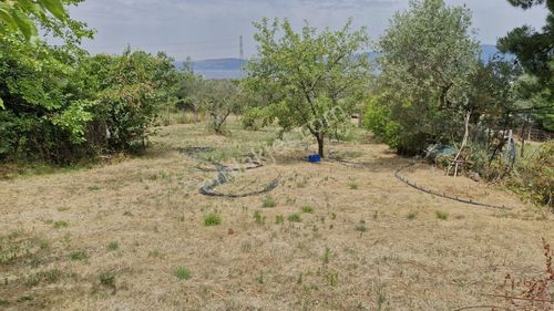Arsa-Konut İmarlı