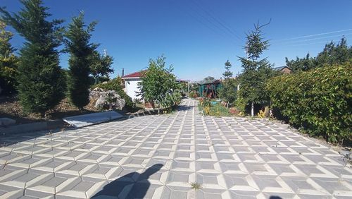 Arsa-Tarla