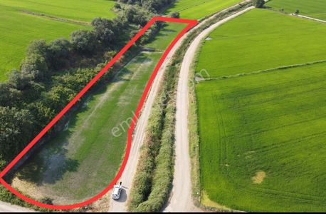 Arsa-Tarla