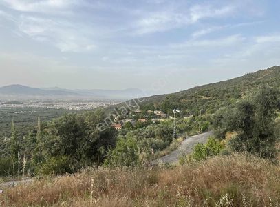 Arsa-Bağ & Bahçe