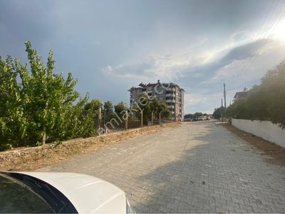 Arsa-Bağ & Bahçe