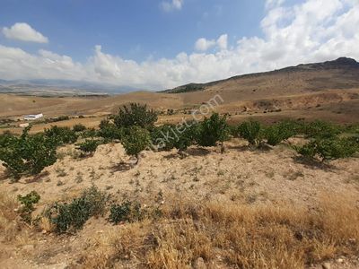 Öz Gaye Emlaktan Develi Tombak Mahallesi Seğlik Mevkiinde Satılık Bağ Yeri