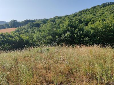Arsa-Tarla