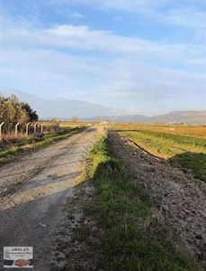 Arsa-Bağ & Bahçe