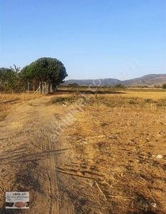 Arsa-Bağ & Bahçe
