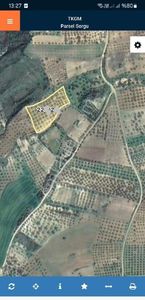 Arsa-Zeytinlik