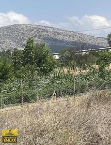 Arsa-Bağ & Bahçe