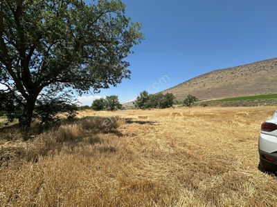 Öz Gaye Emlaktan Develi Zile Aşağıbağlar Mahallesinde Satılık Hobi Bahçesi
