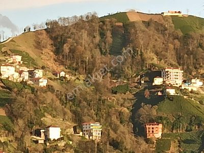 İmarlı, Deniz Manzaralı, Tek Tapu