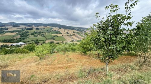 Arsa-Tarla