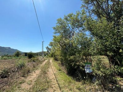 Arsa-Tarla