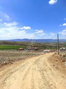 Arsa-Bağ & Bahçe