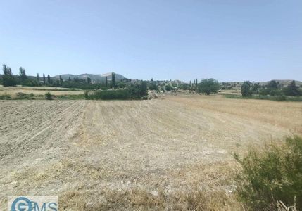 Arsa-Tarla