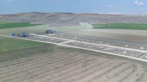 Arsa-Bağ & Bahçe