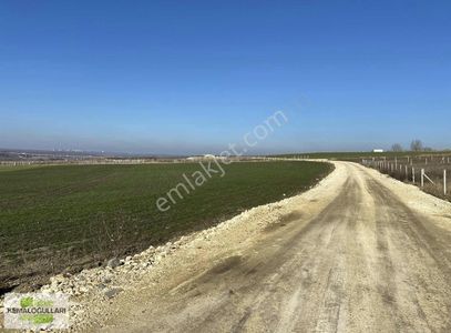Arsa-Konut İmarlı