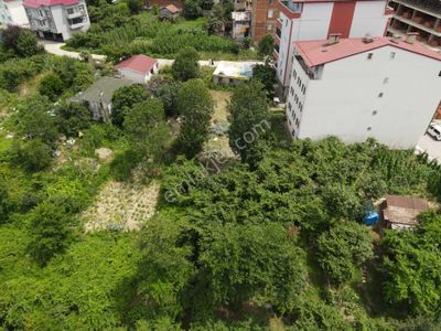Arsa-Konut İmarlı