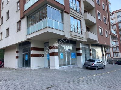 İşyeri-Dükkan & Mağaza
