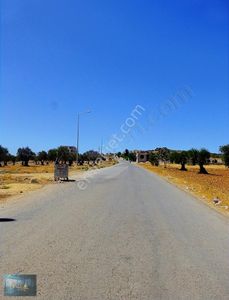 Arsa-Villa İmarlı