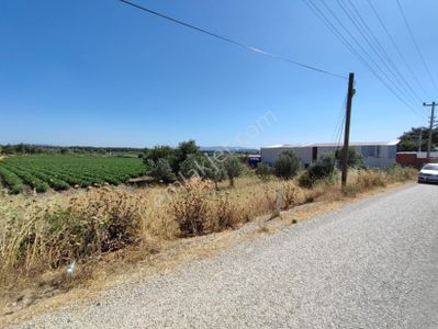 Arsa-Tarla
