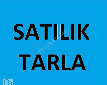Arsa-Tarla