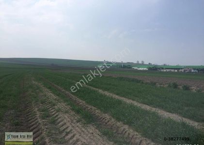 Arsa-Tarla