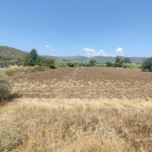 Arsa-Bağ & Bahçe