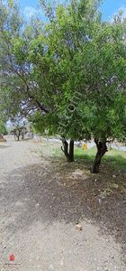 Arsa-Konut İmarlı