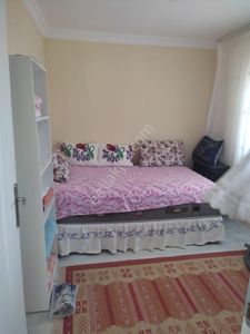 Arsa-Zeytinlik