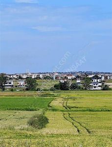 Arsa-Tarla