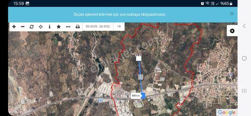 Arsa-Zeytinlik