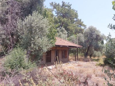 Konut-Çiftlik Evi