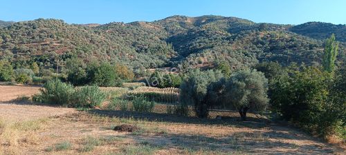 Arsa-Tarla