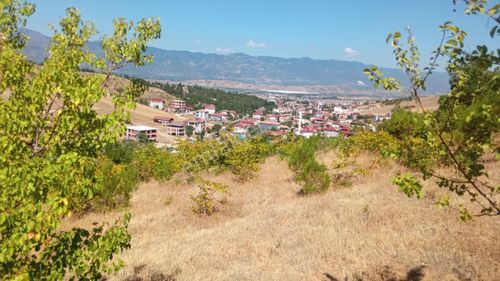 Arsa-Tarla