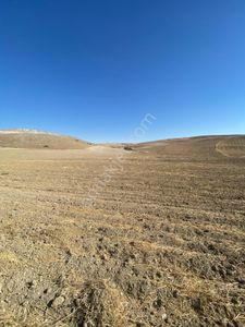 Arsa-Tarla
