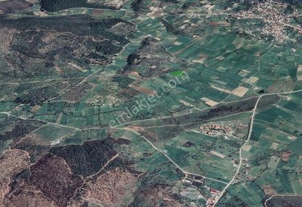 Arsa-Zeytinlik