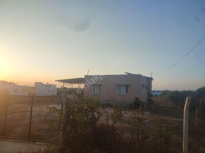 Konut-Çiftlik Evi