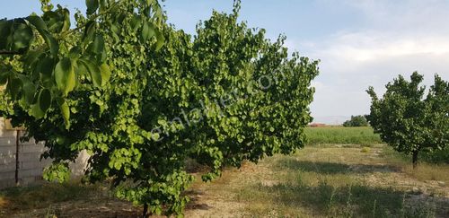 Arsa-Konut İmarlı