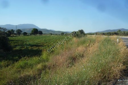 Arsa-Tarla