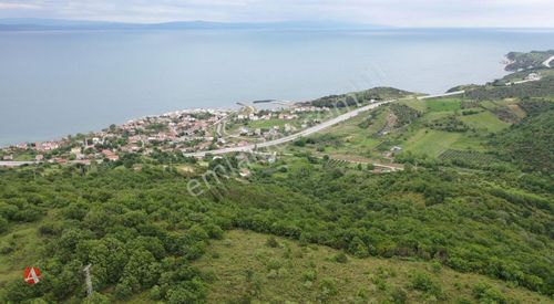 Arsa-Tarla