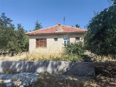 Konut-Müstakil Ev