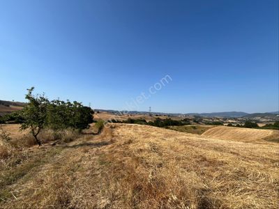 Arsa-Tarla