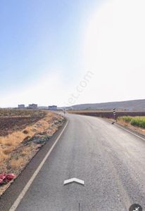 Arsa-Arazi