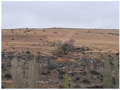 Arsa-Tarla