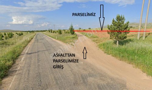 Arsa-Tarla