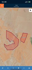 Taşpınar Killik Mevki Satılık 109 Dekar Tarla Kadastro Yolu Var