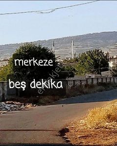 Arsa-Zeytinlik