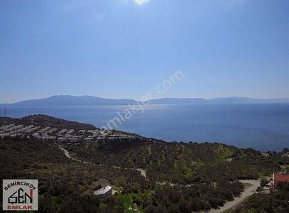 Arsa-Zeytinlik