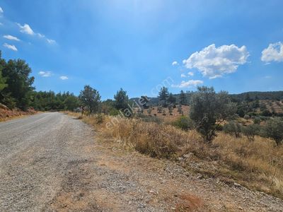Arsa-Tarla