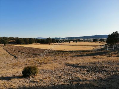 Arsa-Tarla
